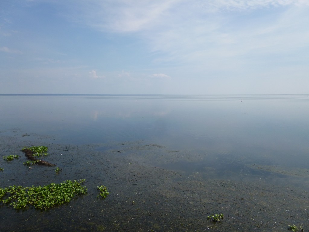 P1000528